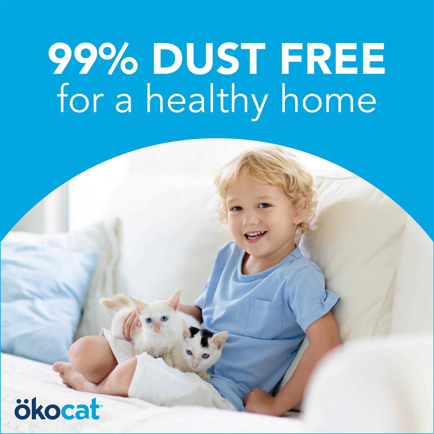 Original Premium Clumping Natural Wood Cat Litter Q386