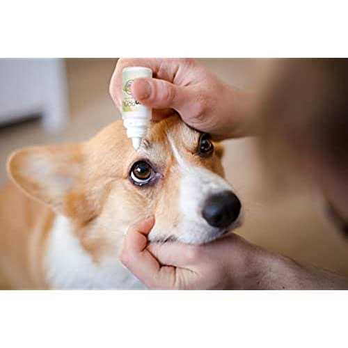Pet Eye Drops P400082