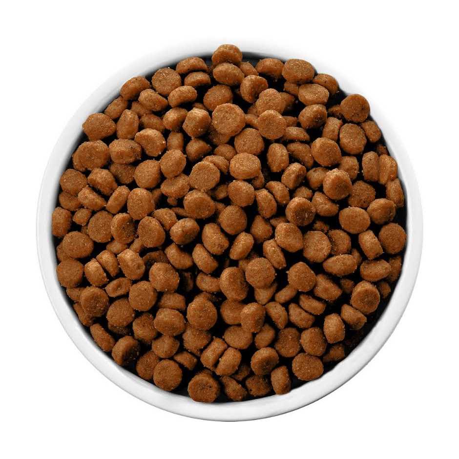 Chicken Flavor Dry Dog Food Q32367