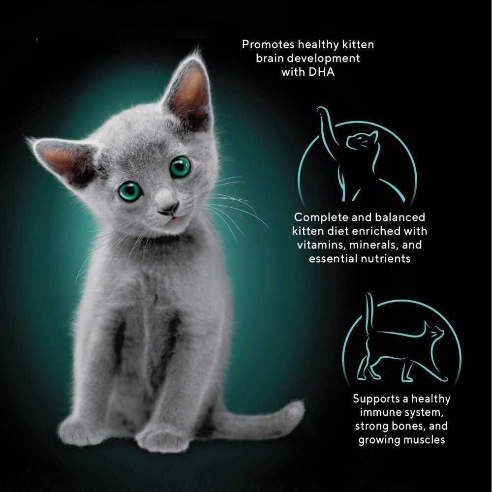 Kitten Soft Pate Wet Food Variety Pack D29439