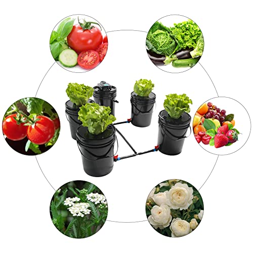 5 Gallon Deep Water Culture Hydroponic System Q422