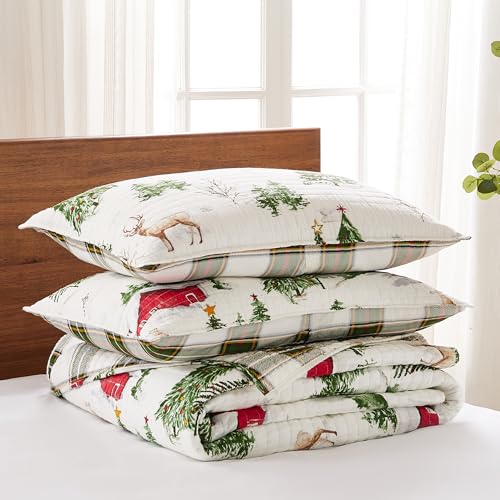 King/Cal King Red Green Brown White Cotton Reversible Quilt Set with Two King Pillow Shams A926389