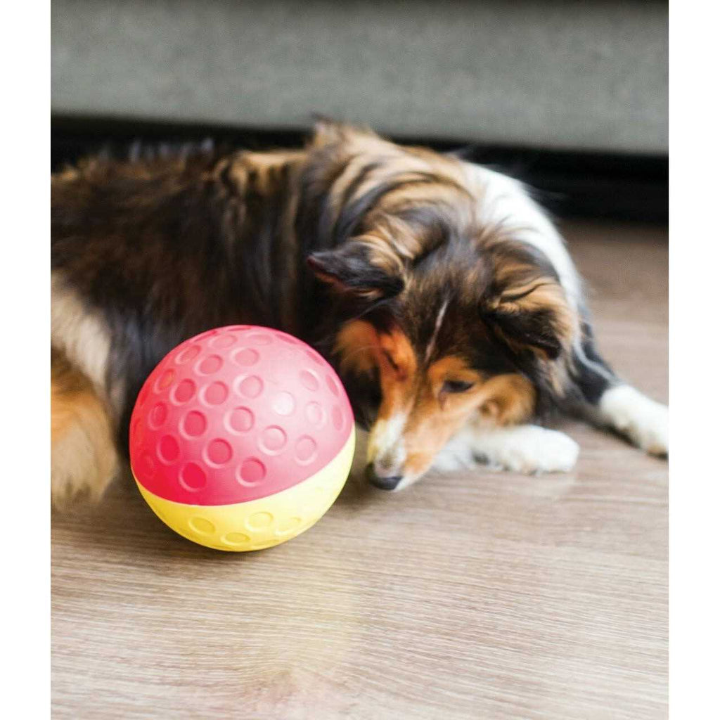 Treat Tumble Dog Toy B972792