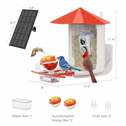 Bird Feeder with Camera L39050