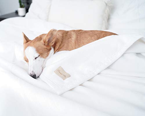 Natural Cotton Throw Blanket M977473