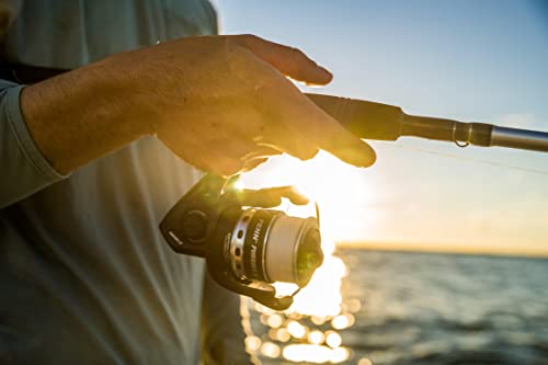 Pursuit IV Spinning Fishing Reel W871