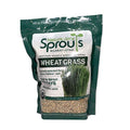 100% Organic Wheatgrass Seeds for Sprouting Q260
