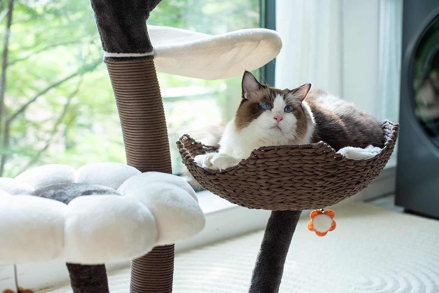 Cat Tree with Cat Scratching Post J75150