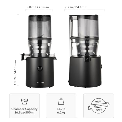Cold Press Masticating Juicer X138