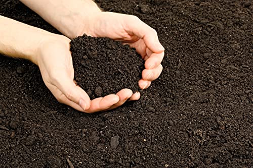 20 Quarts Organic Potting Soil Mix Q15938