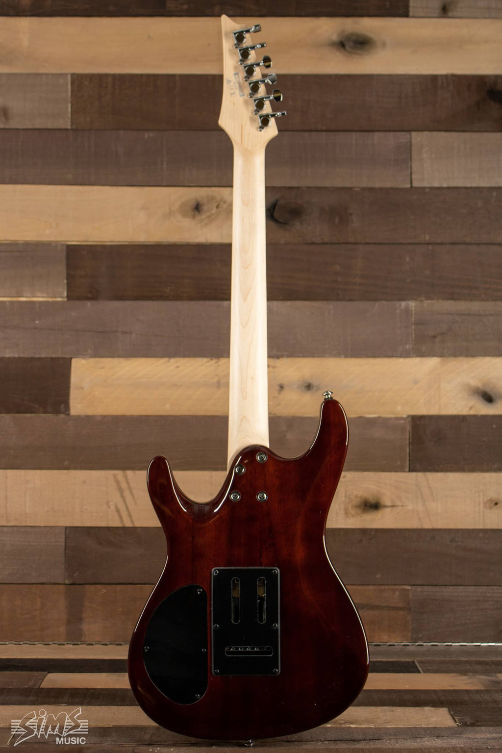 Transparent Gray Burst Electric Guitar S219