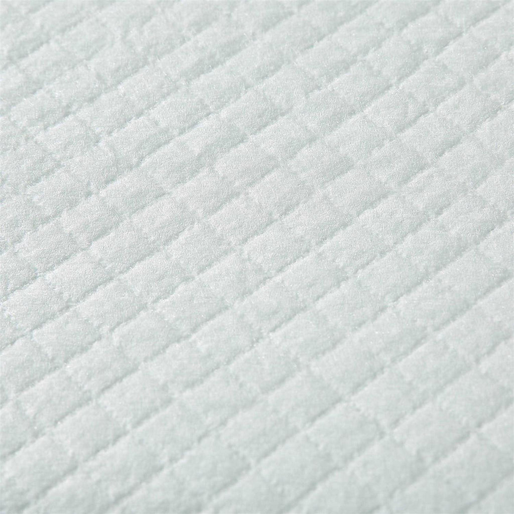 Puppy Training Pads with Attractant F57439