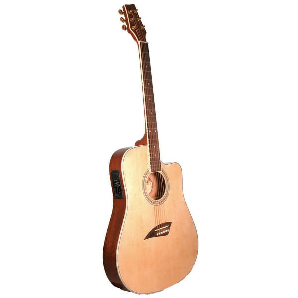 Thin Body Acoustic/Electric Guitar E6620