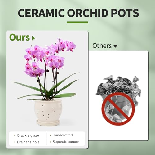 6.3" Ceramic Orchid Pots with Holes Crackle Glazed with Drainage and Separate Saucer White N7950