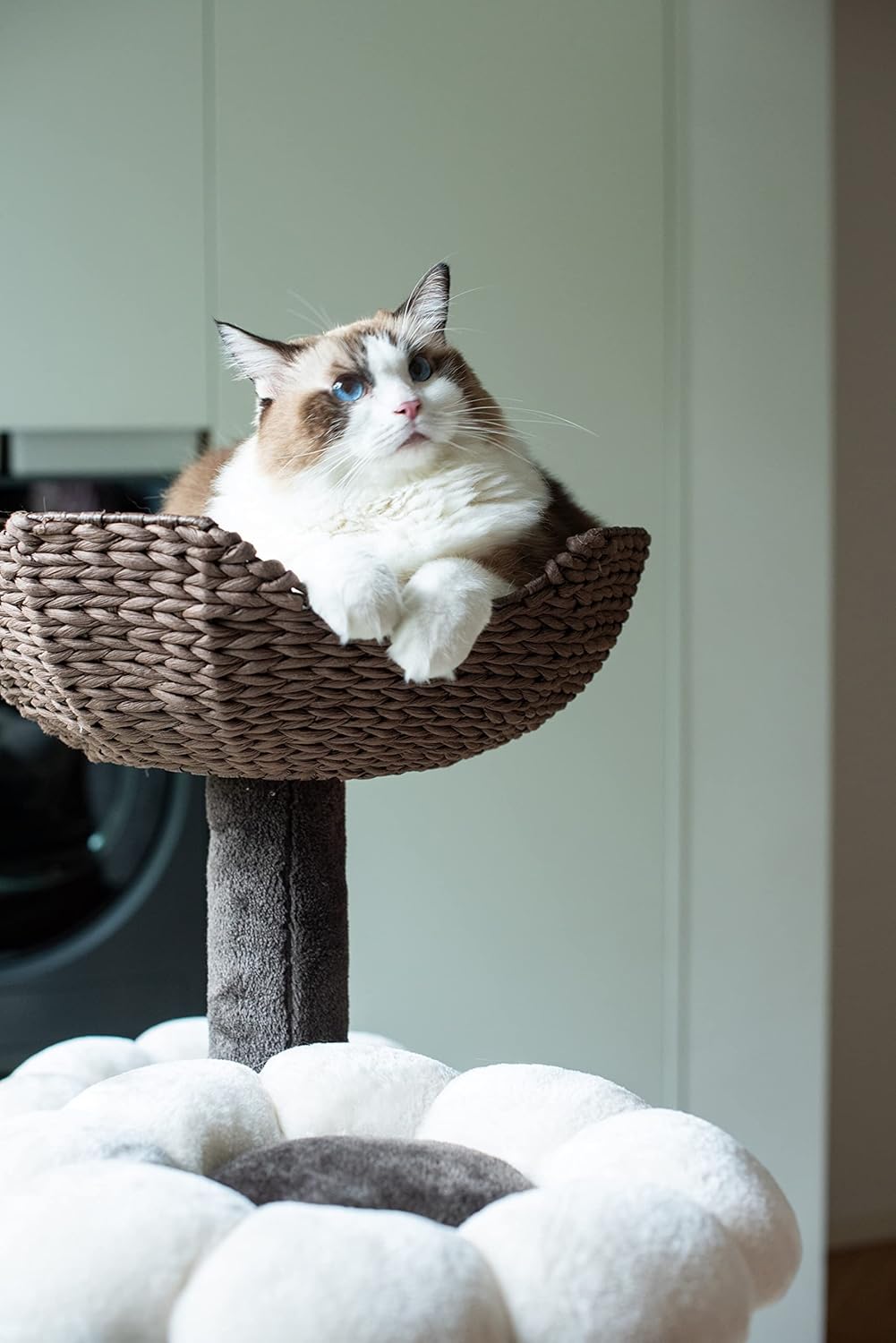 Cat Tree with Cat Scratching Post J75150