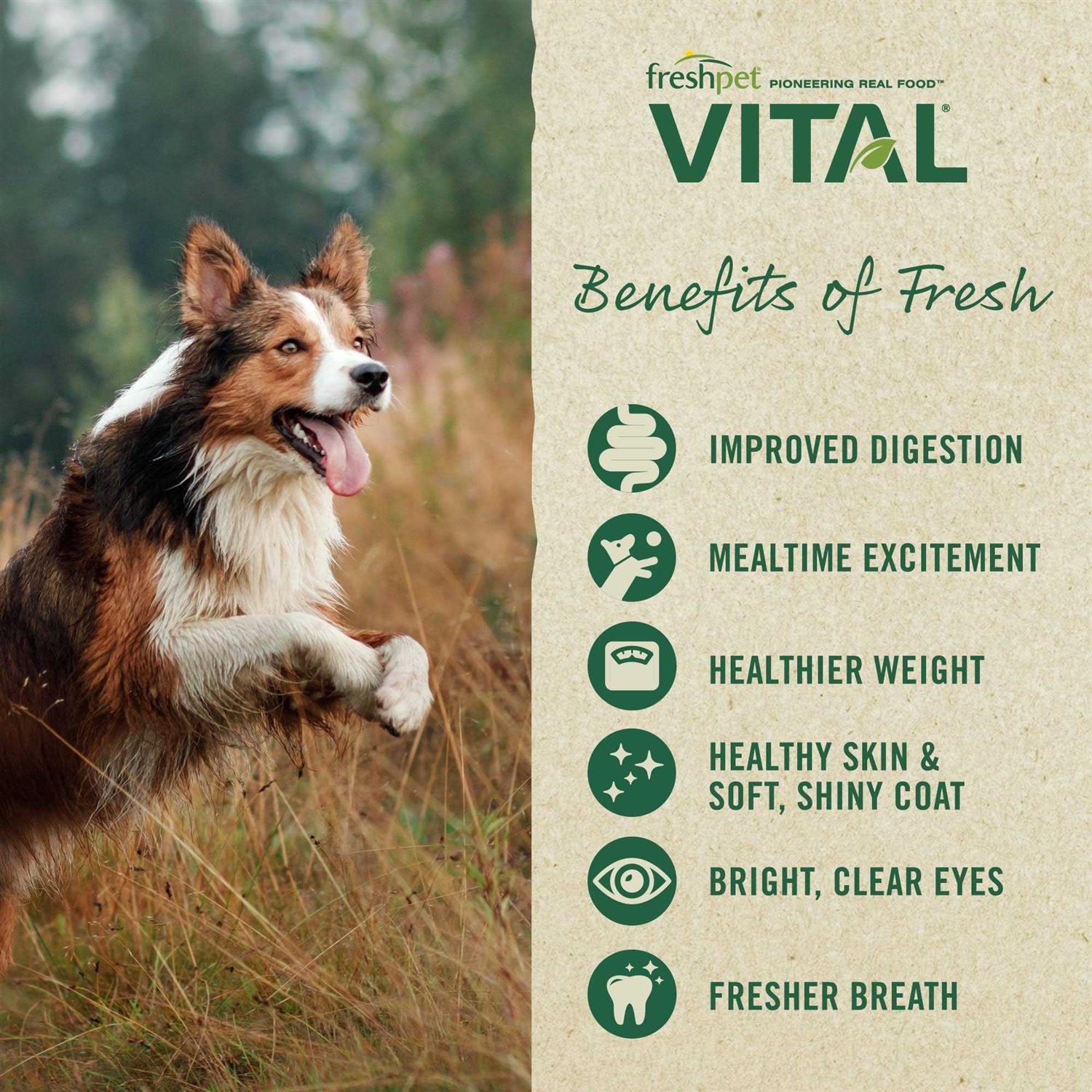 Grain-Free Beef & Bison Fresh Dog Food B434378