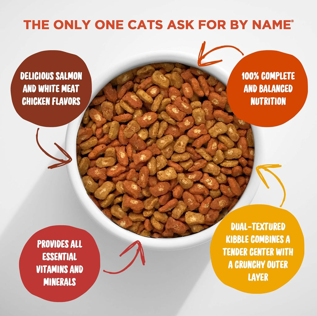 Salmon & Chicken Dry Cat Food, 3 Pound L61250