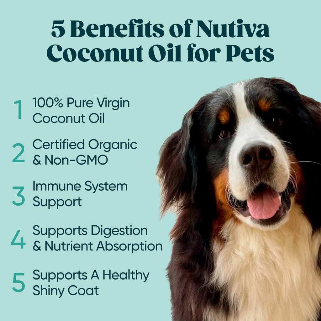 Organic Coconut Oil 128 fl oz, Cold-Pressed, Unrefined, Extra Virgin B39207