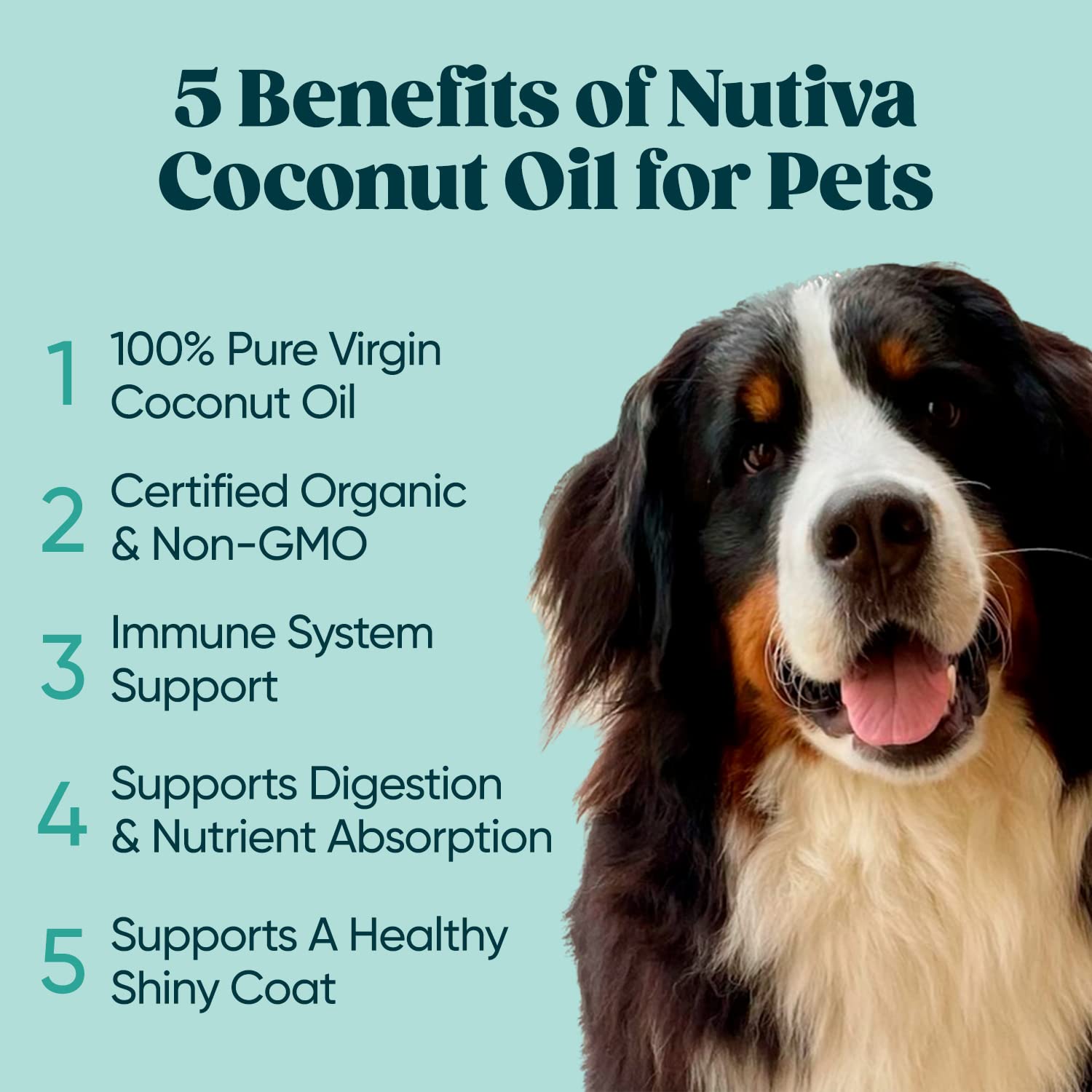Organic Coconut Oil 128 fl oz, Cold-Pressed, Unrefined, Extra Virgin B39207