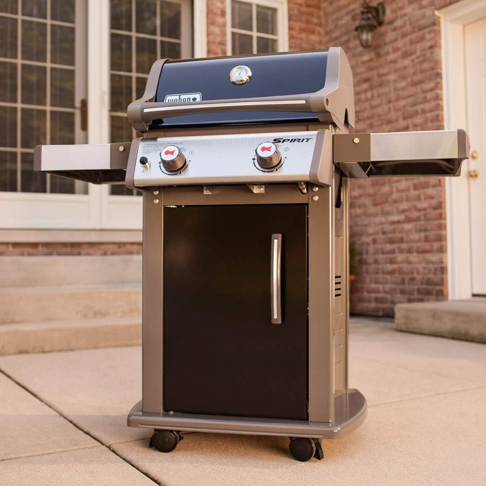 Black 2-Burner Liquid Propane Gas Grill X883239