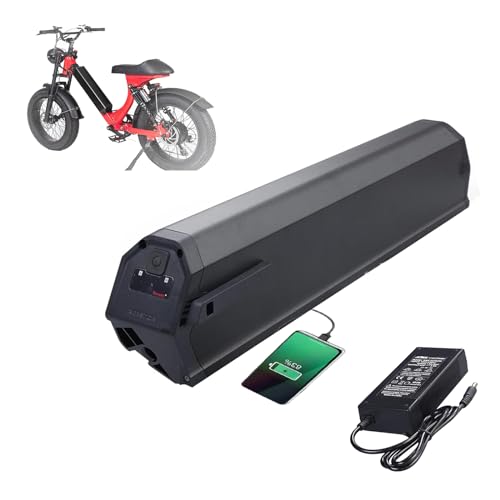 48 Volt 18Ah 25Ah Electric Bike Lithium Ion Battery R2368