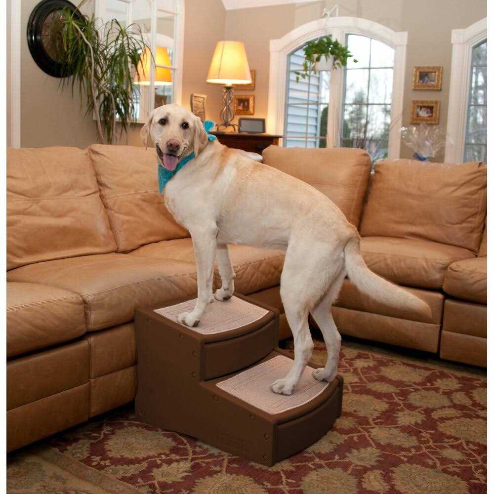 Pet Stairs O46158