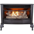 25,000 BTU Dual Fuel Stove C87881