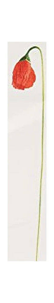 3.4 oz Eau De Parfum Spray Z448