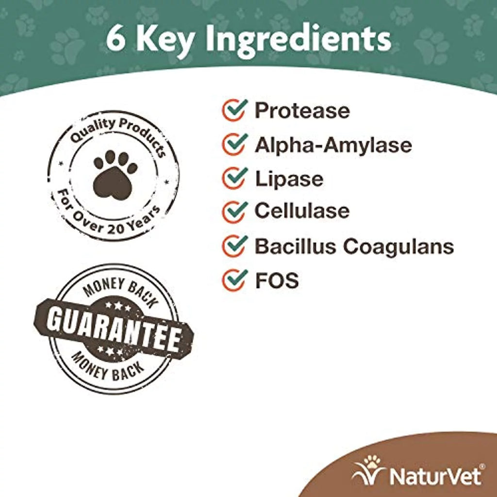 Digestive Enzymes Powder 4 oz Y7253