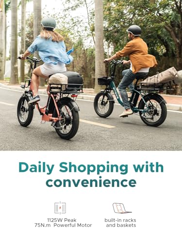 Electric Bike 20'' Fat Tire 52V 13Ah 7 Speed Dual Suspension D2940