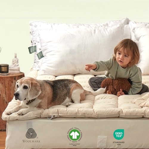 Organic Merino Wool Pillow Top Mattress Topper - 2", Twin XL C835583