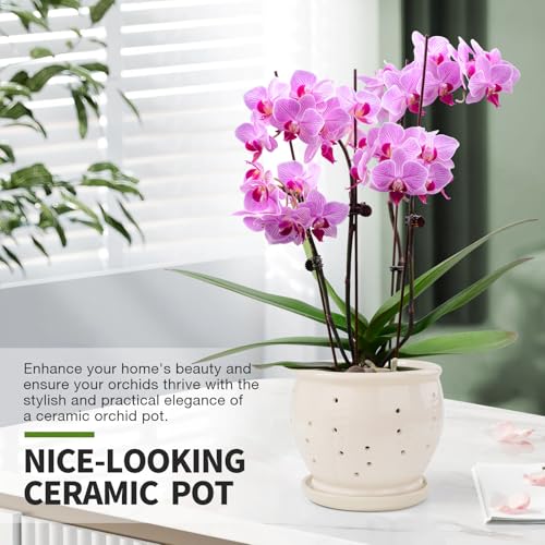 6.3" Ceramic Orchid Pots with Holes Crackle Glazed with Drainage and Separate Saucer White N7950