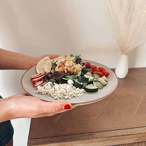 Set of 6 10 inch Ceramic Matte Dinner Plates Y9429