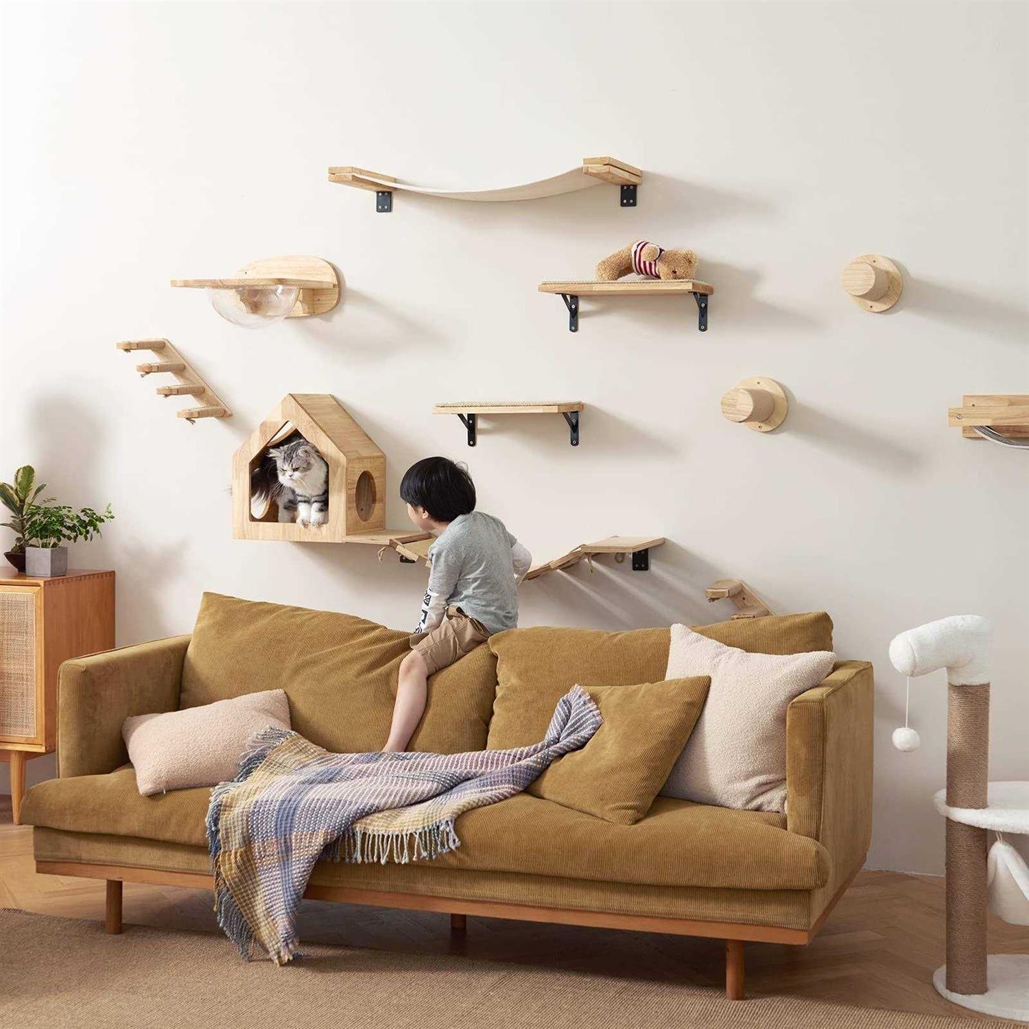 Cat Wall Furniture Set Transparent Capsule Cat Wall Shelves with 2 PCS Pedals Q671