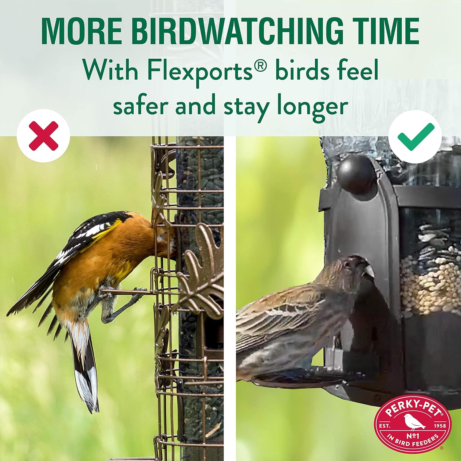 Large Wild Bird Feeder with Flexports, 3LB Seed Capacity Q8537