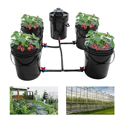 5 Gallon Deep Water Culture Hydroponic System Q422