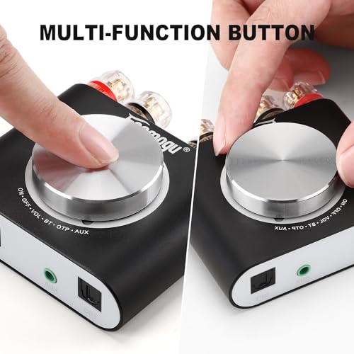 160W Mini Bluetooth 5.0 Power Amplifier V253757