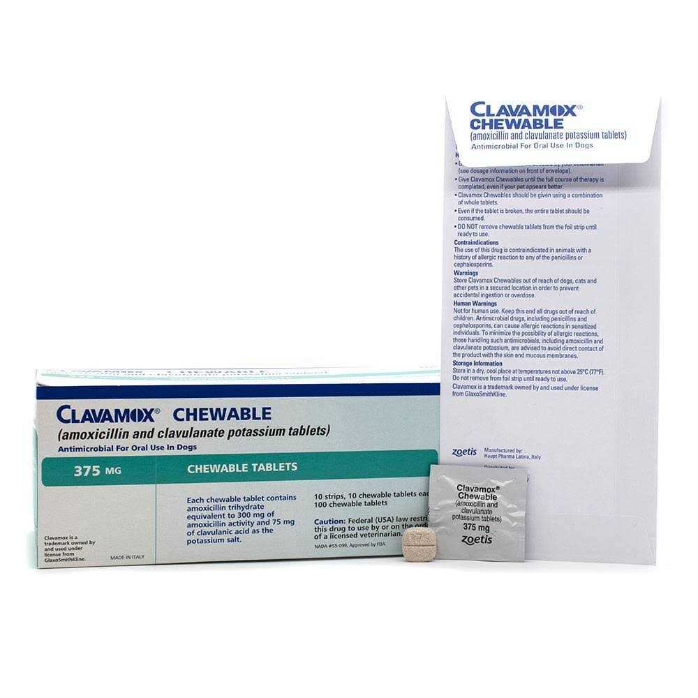 Clavamox Chewable Y8336