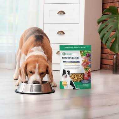 Freeze-Dried Dog Food T65535