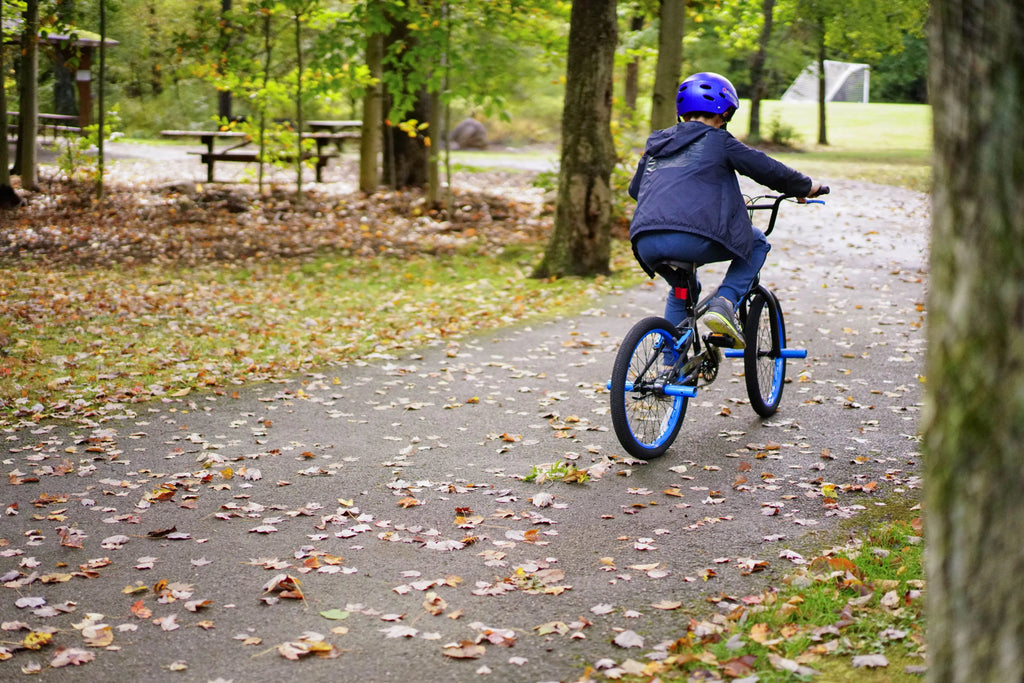 20 in. Matte Black and Blue Boy's Bicycle P301