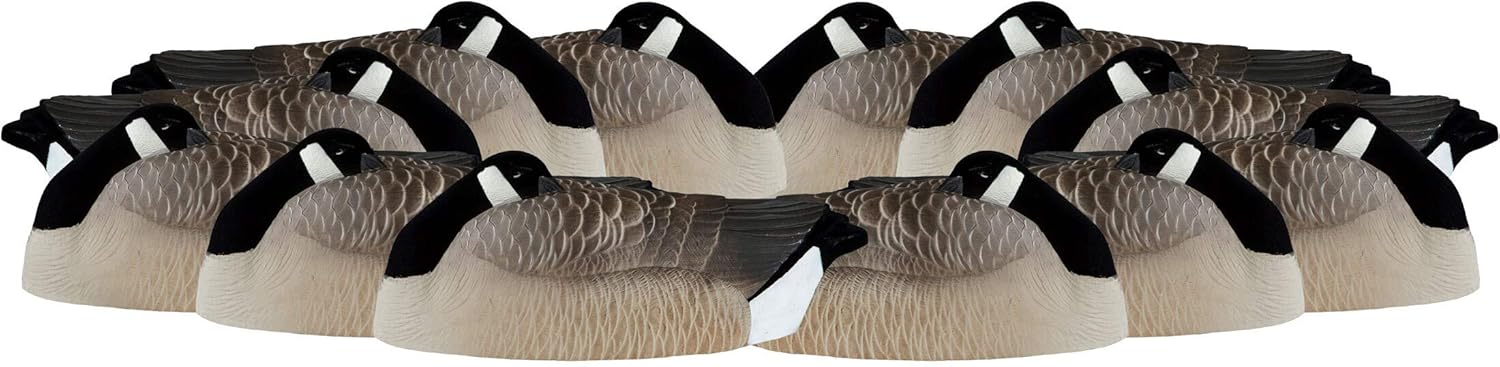Pack of 12 Flocked Sleeper Shell Decoy R68907