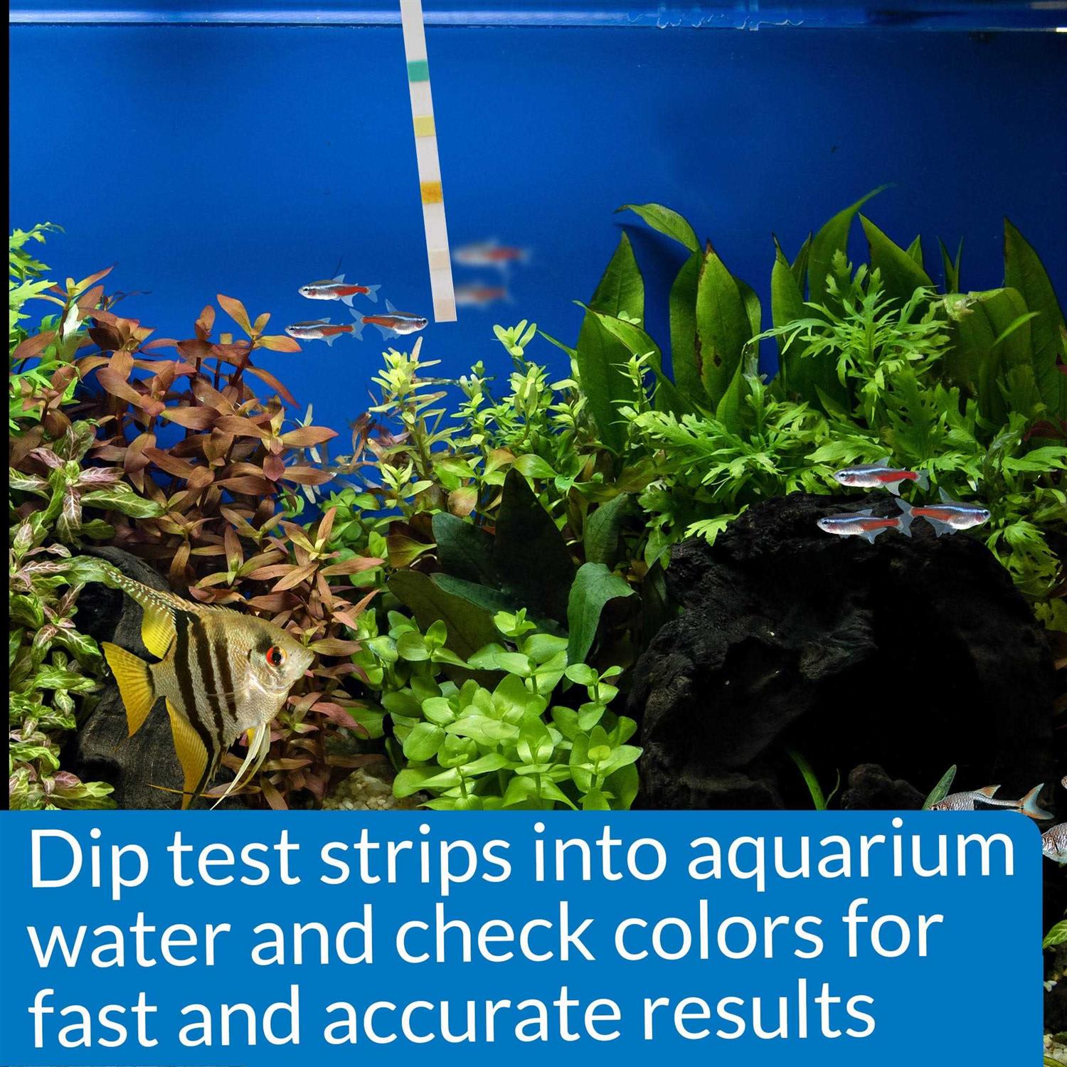 5 in 1 Aquarium Test Strips D604