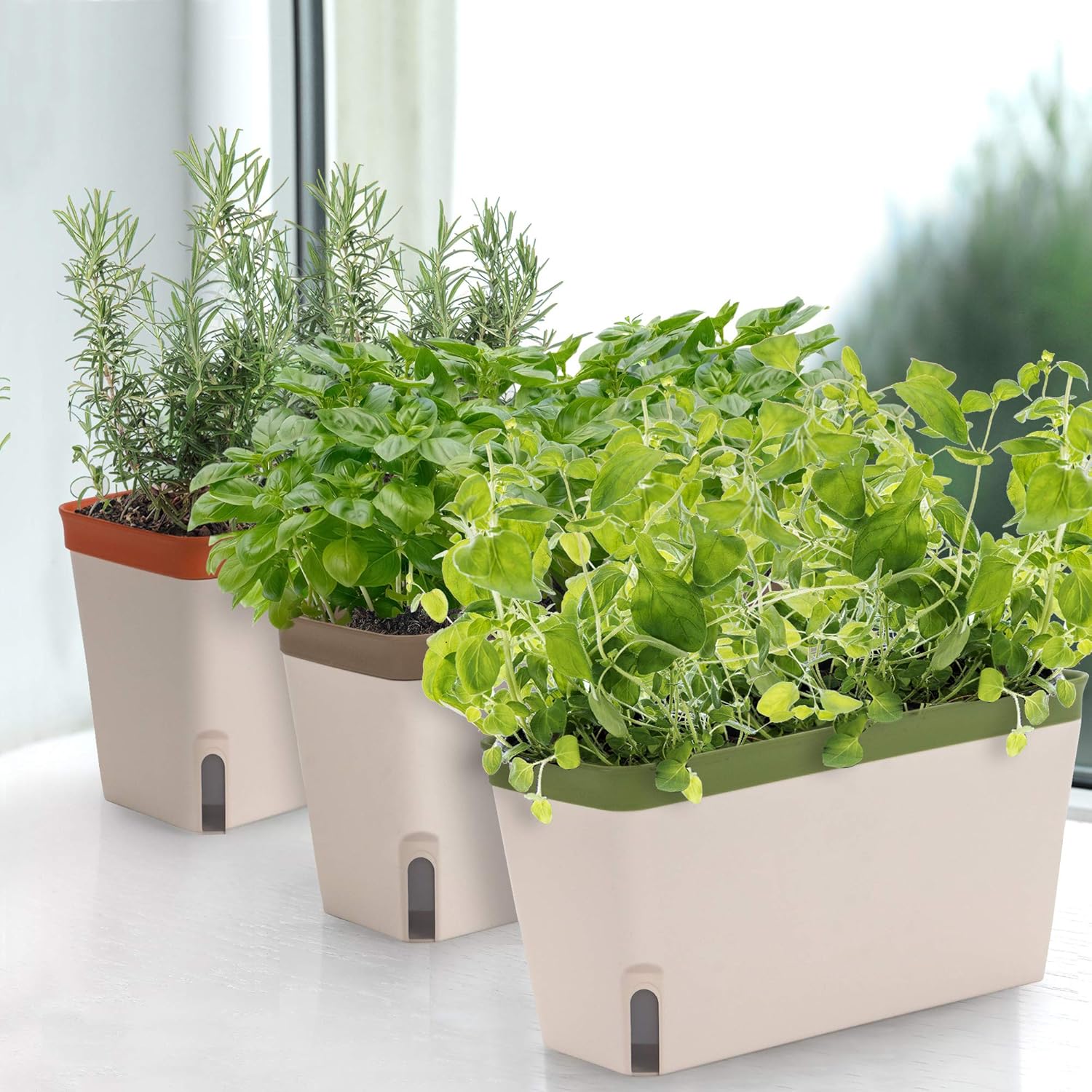 Self-Watering Rectangular Window Herb Planter Box Set of 3 V695