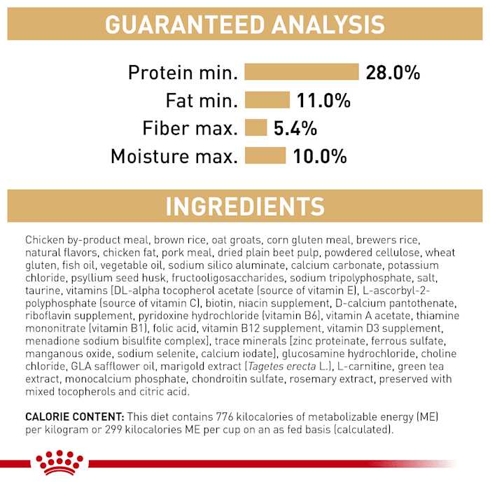 Labrador Retriever Adult Dry Dog Food X552788