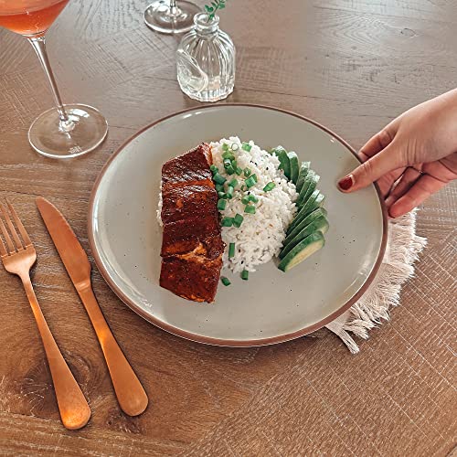 Set of 6 10 inch Ceramic Matte Dinner Plates Y9429