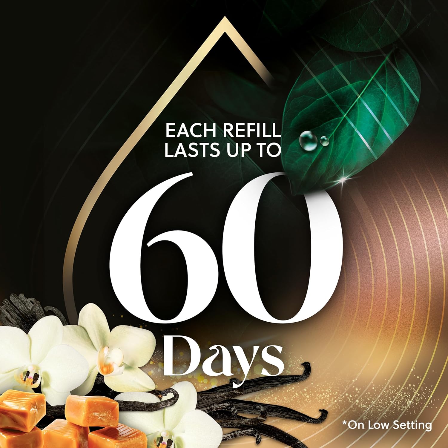 Cozy Vanilla & Caramel Scented Oil Refill, 2 ct N53966