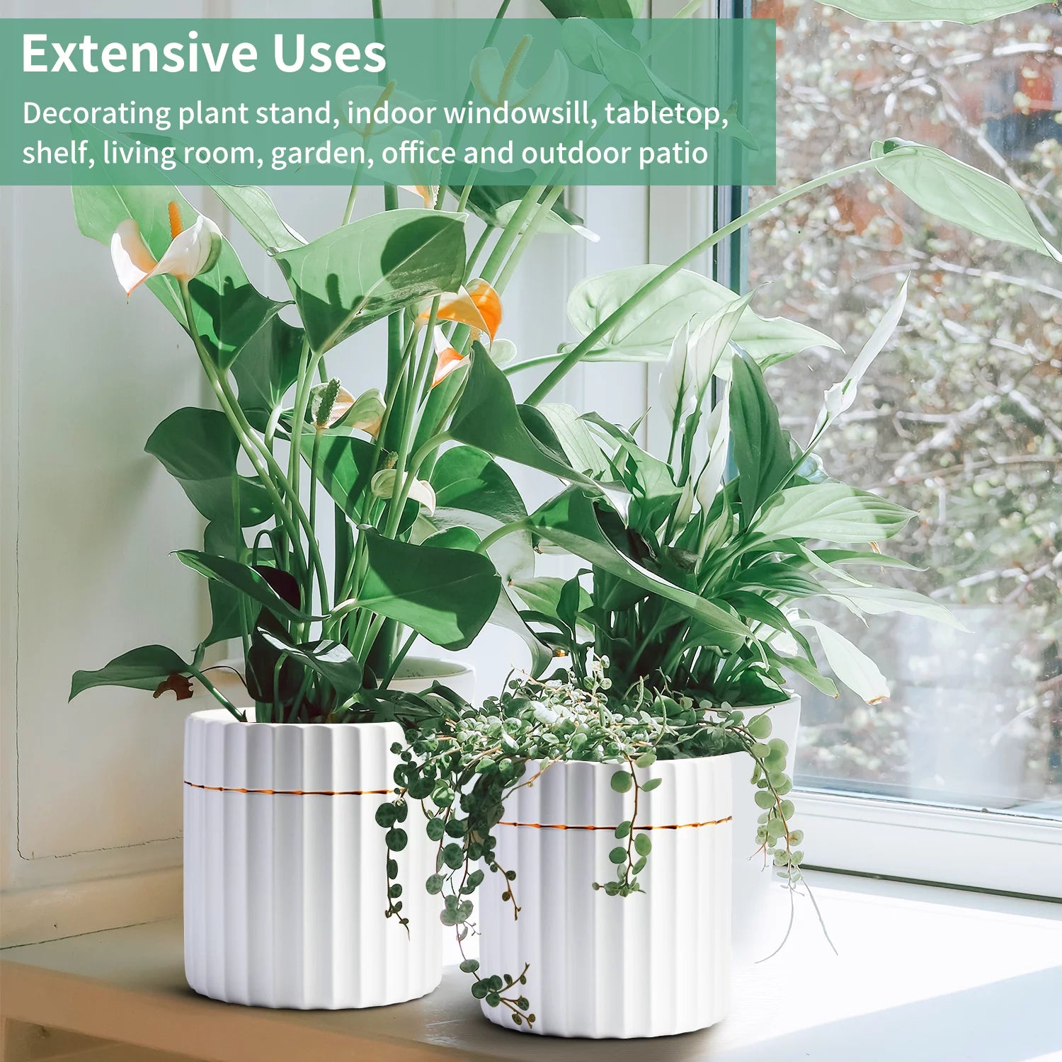 2 Pack White Ceramic Plant Pots with Drainage Hole X404