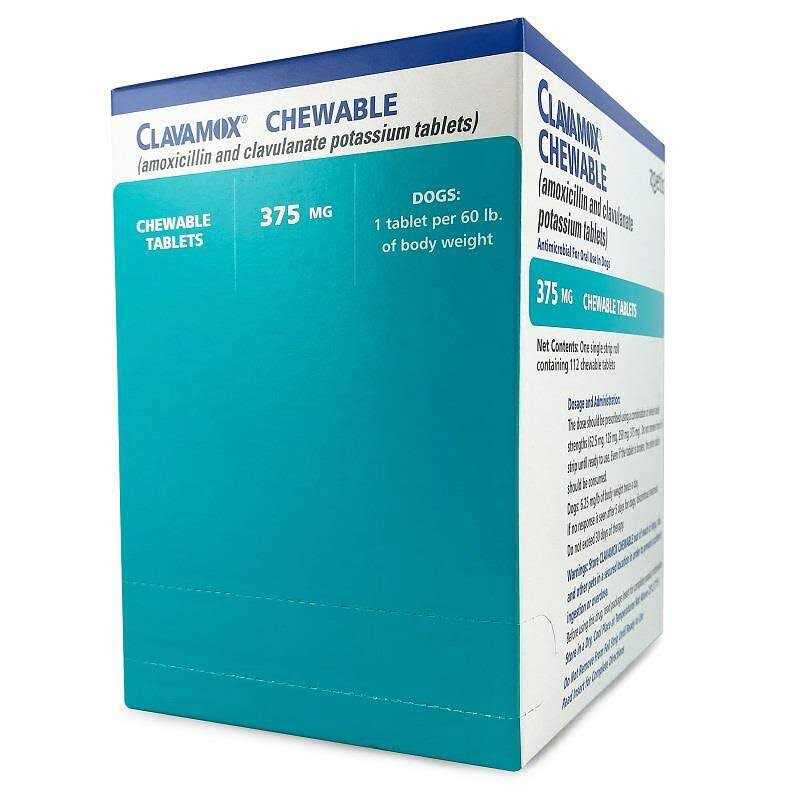 Clavamox Chewable Y8336