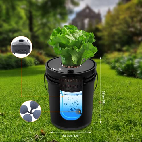 5 Gallon Deep Water Culture Hydroponic System Q422