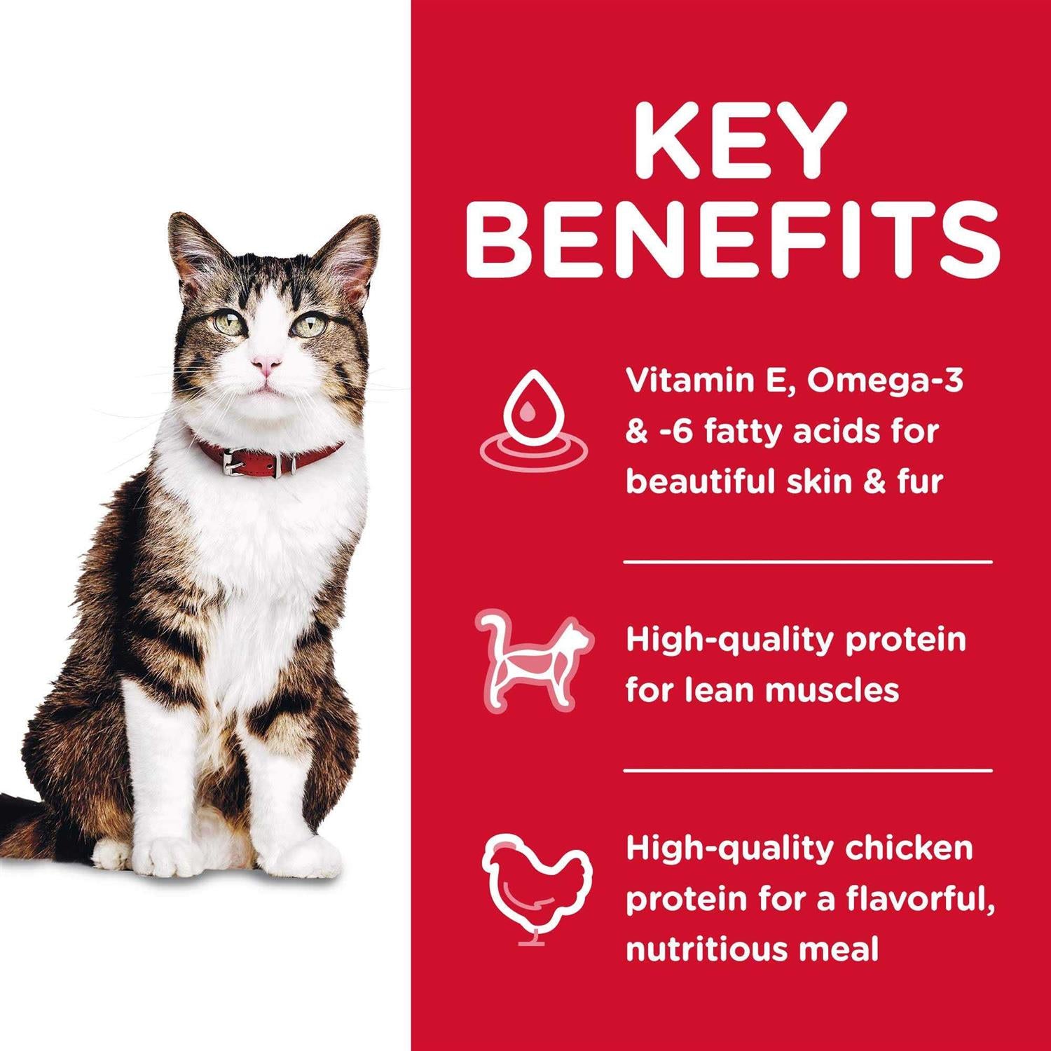 Adult Hairball Control Dry Cat Food B66388